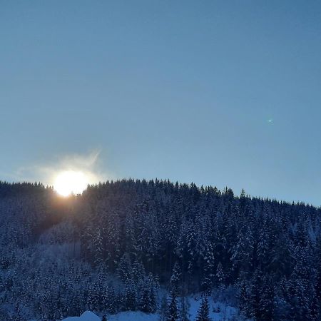 Gaestehaus Gamsblick Werfenweng Exteriör bild